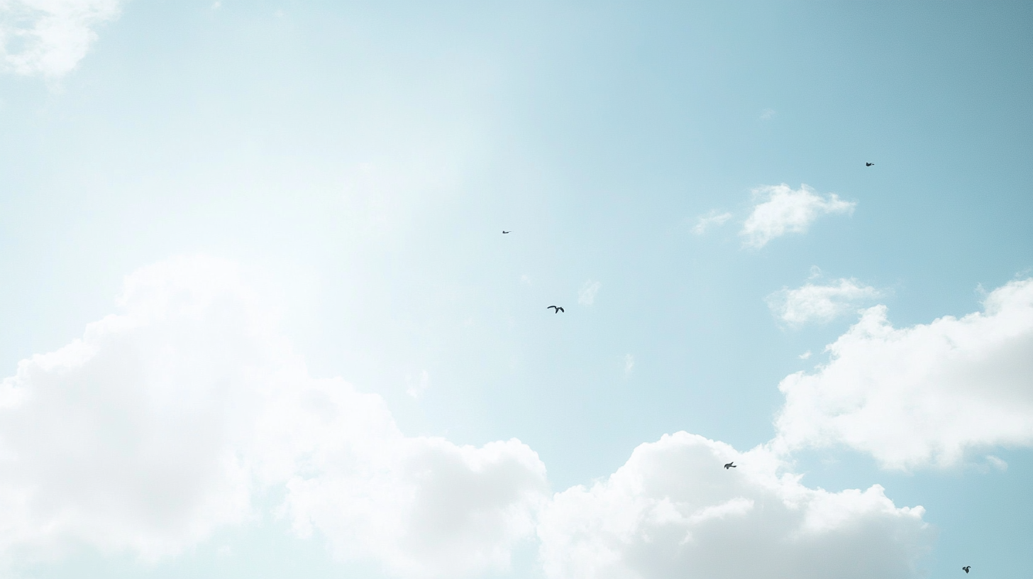 sin techo de comisiones